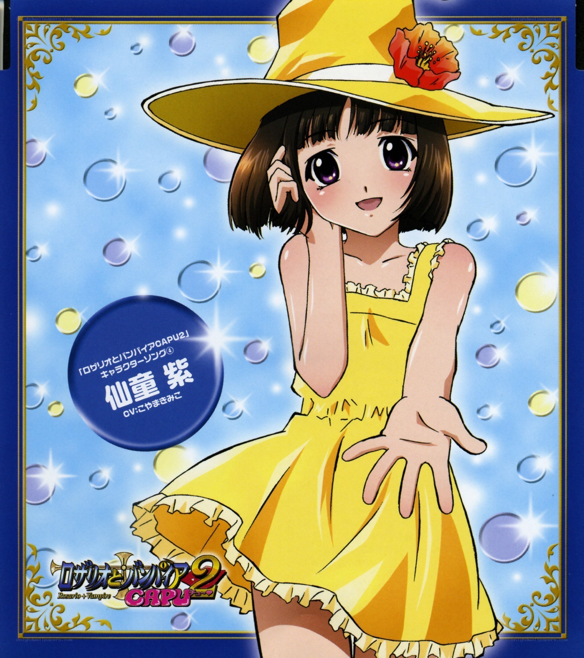 Rosario + Vampire Capu 2 character art