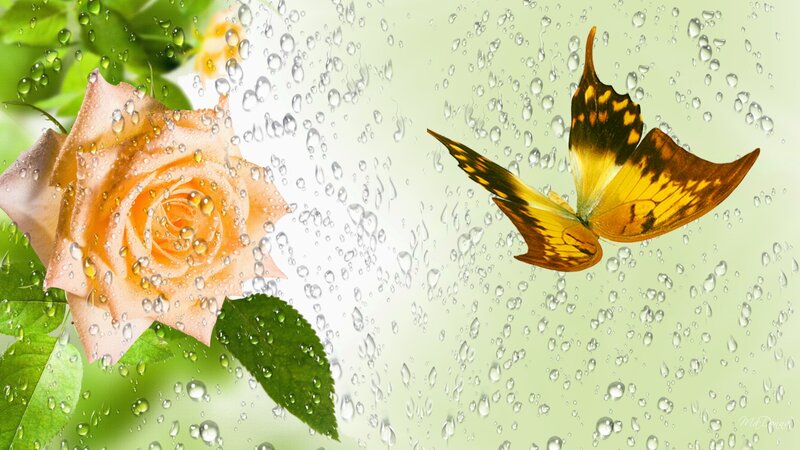 Rose and Butterfly — Green