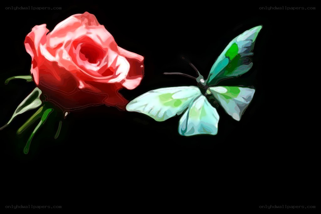 rose and butterfly illustration