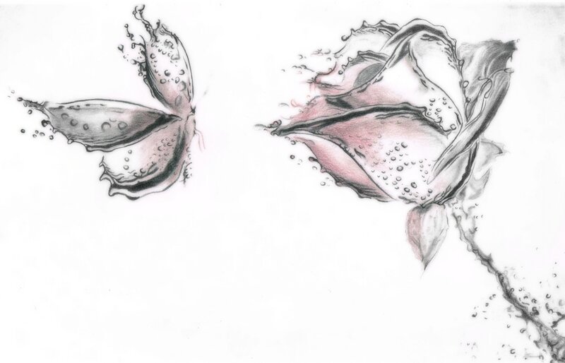 Rose and Butterfly in Water