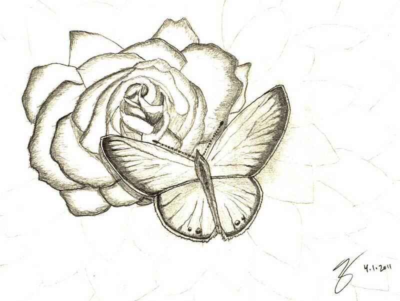 Rose and Butterfly