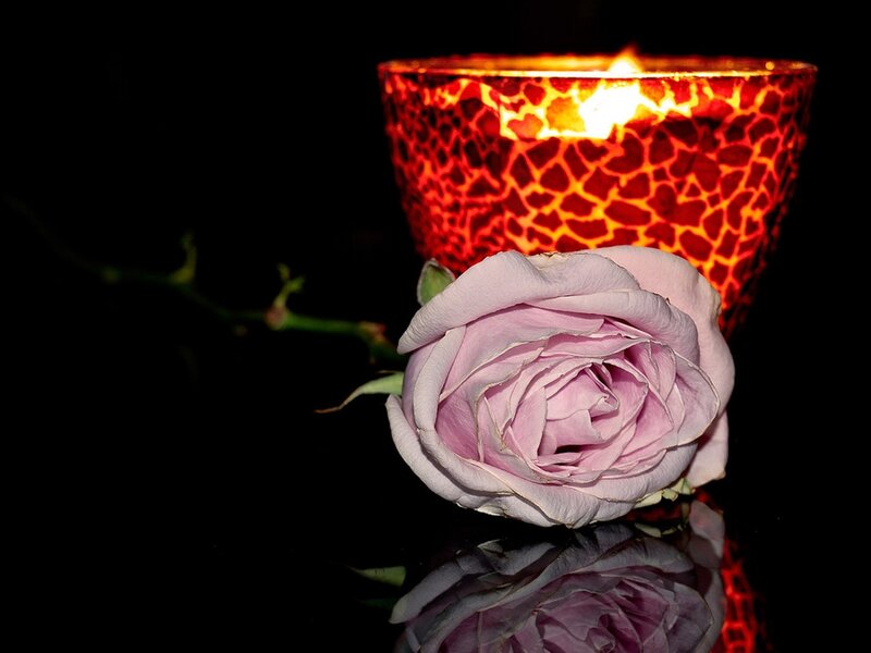 rose and candle in darkness