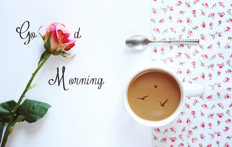Rose and Coffee Cup — White