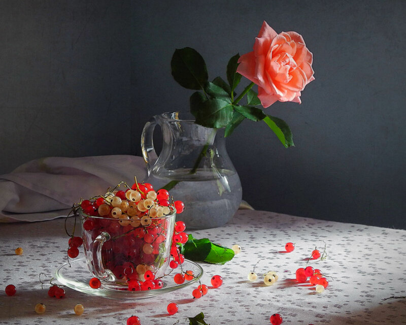 Rose and Currants in Cup