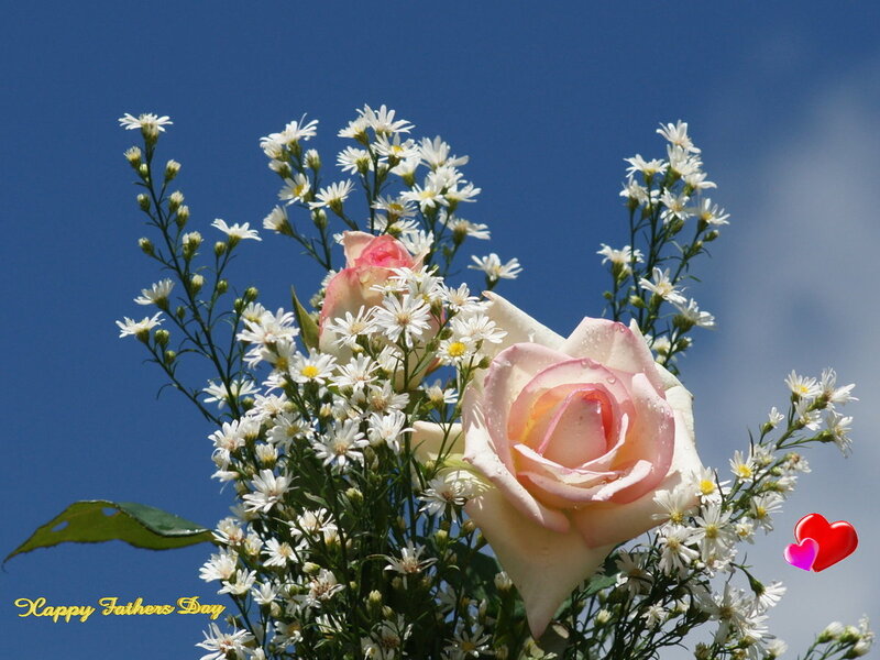 Rose and daisies against blue sky
