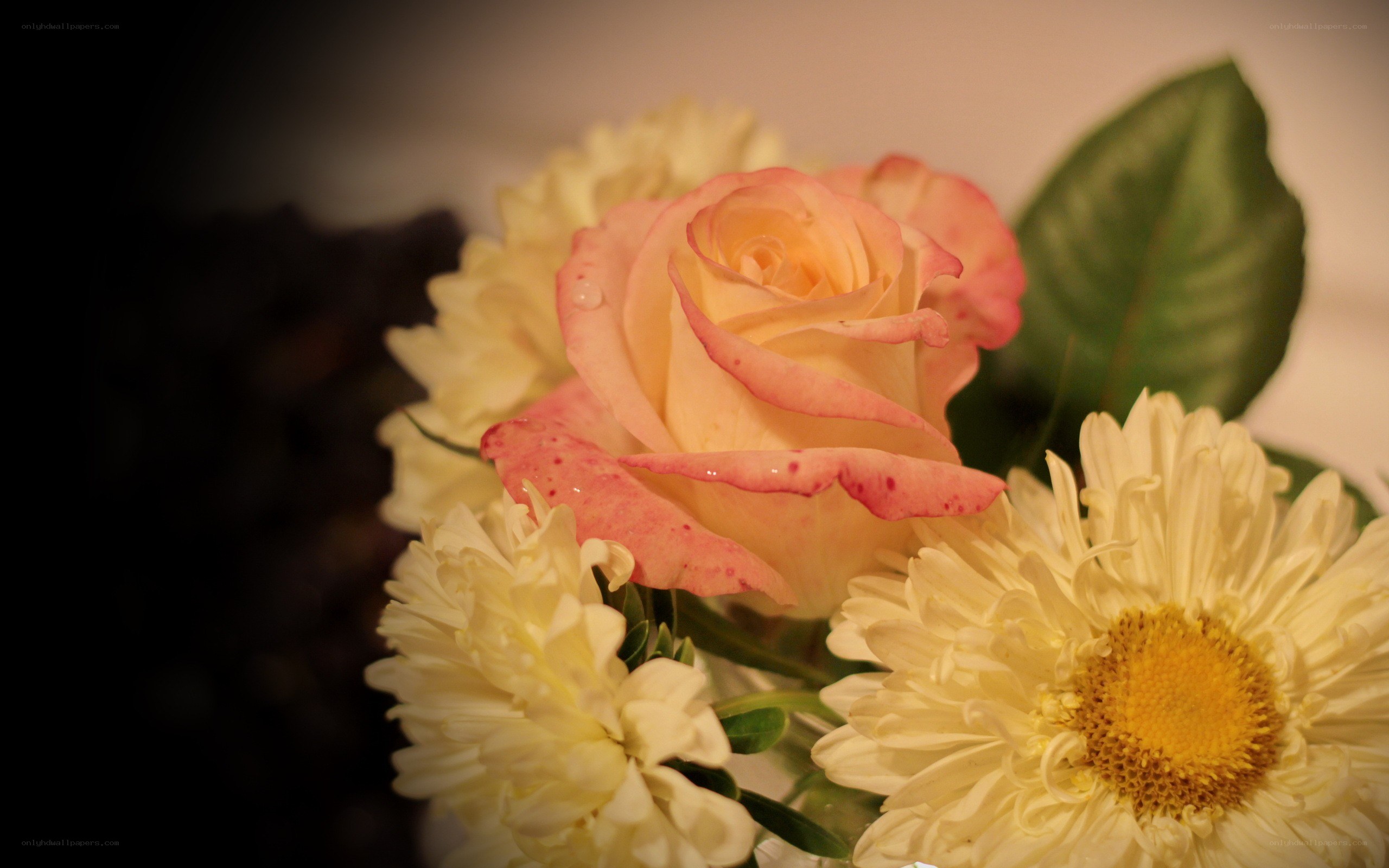 rose and daisies bouquet