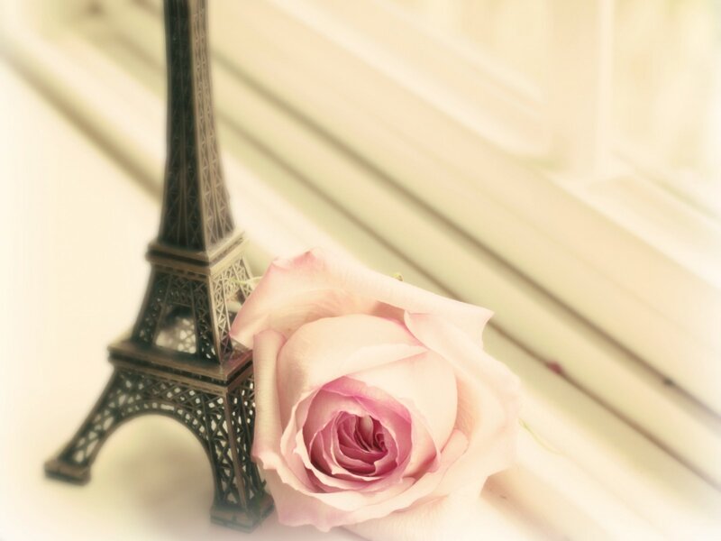rose and eiffel tower model