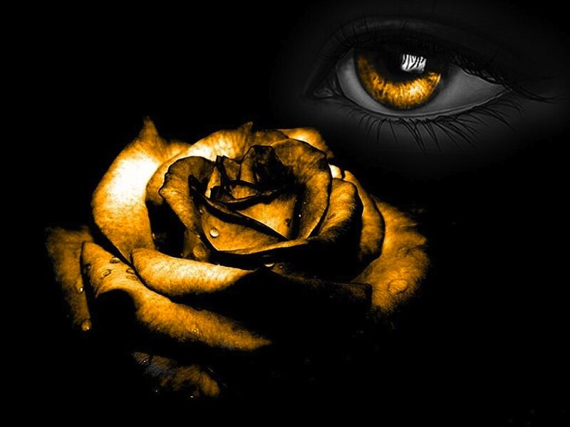 Rose and Eye
