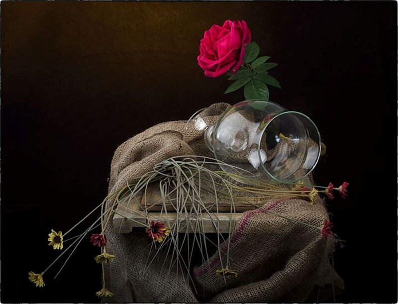 Rose and Glass on Burlap