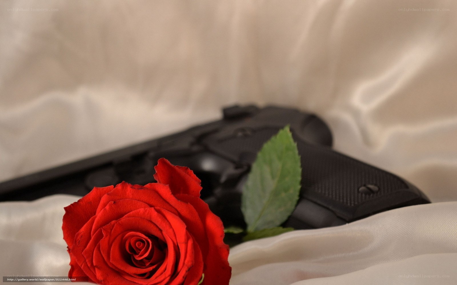 rose and gun on satin