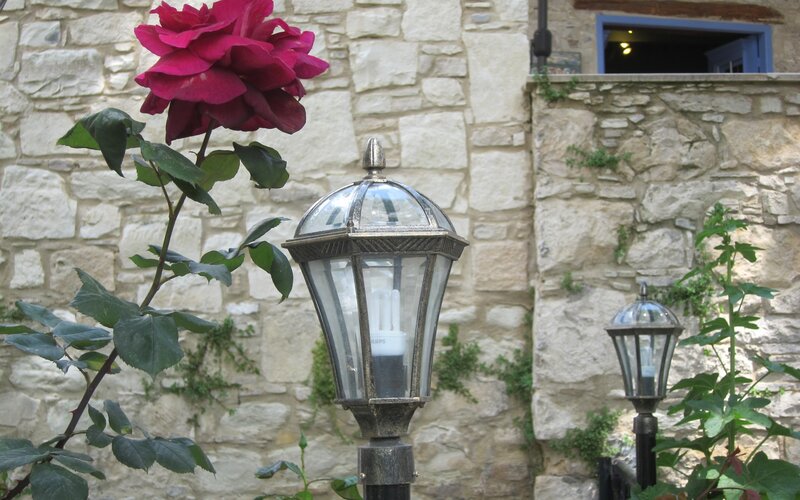 Rose and lanterns by stone wall