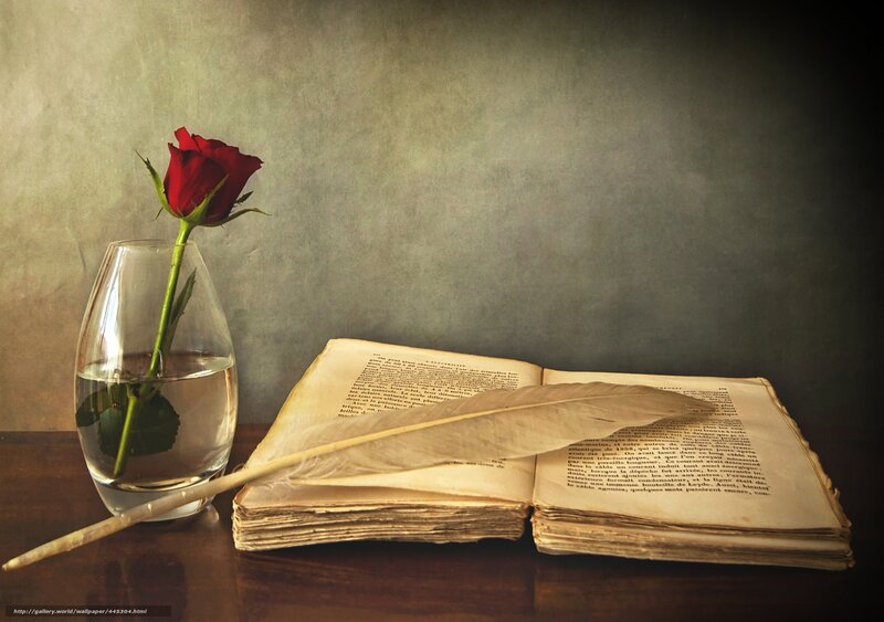 rose and old book