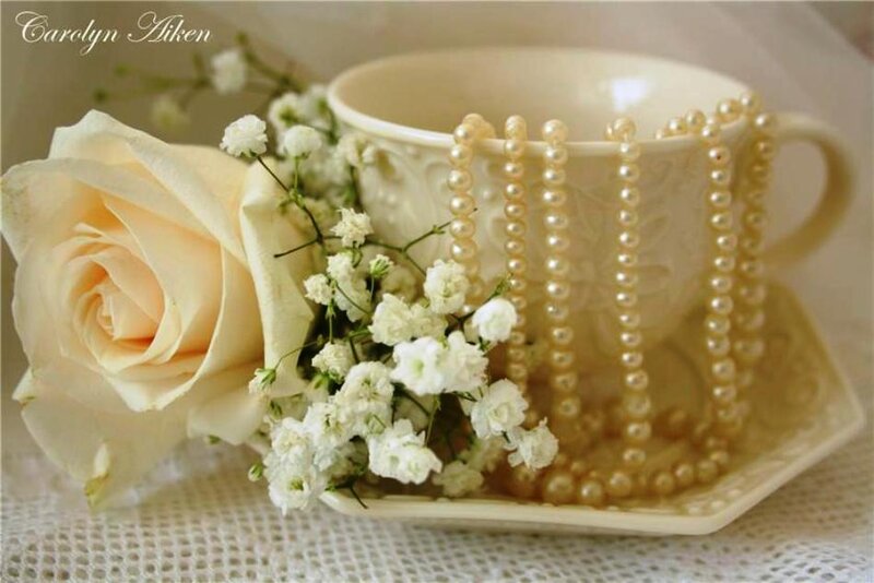 Rose and Pearls in Cup