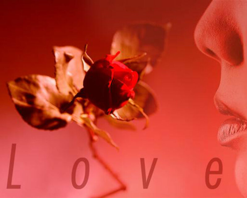 Rose and Person's Face