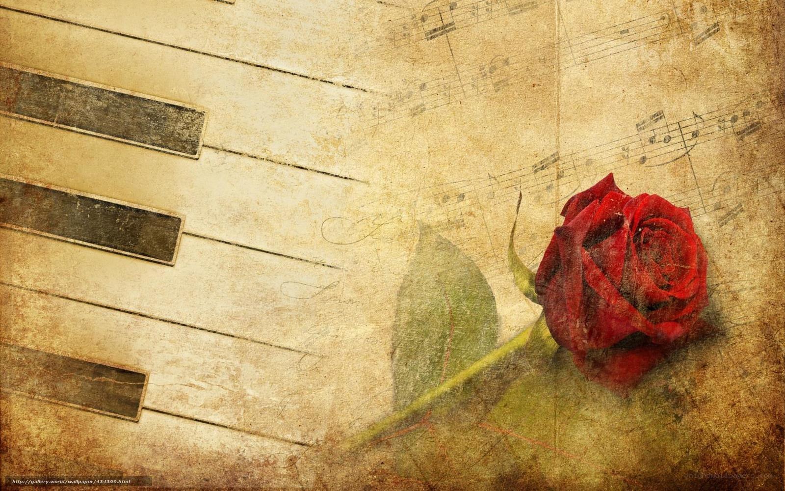 rose and piano keys