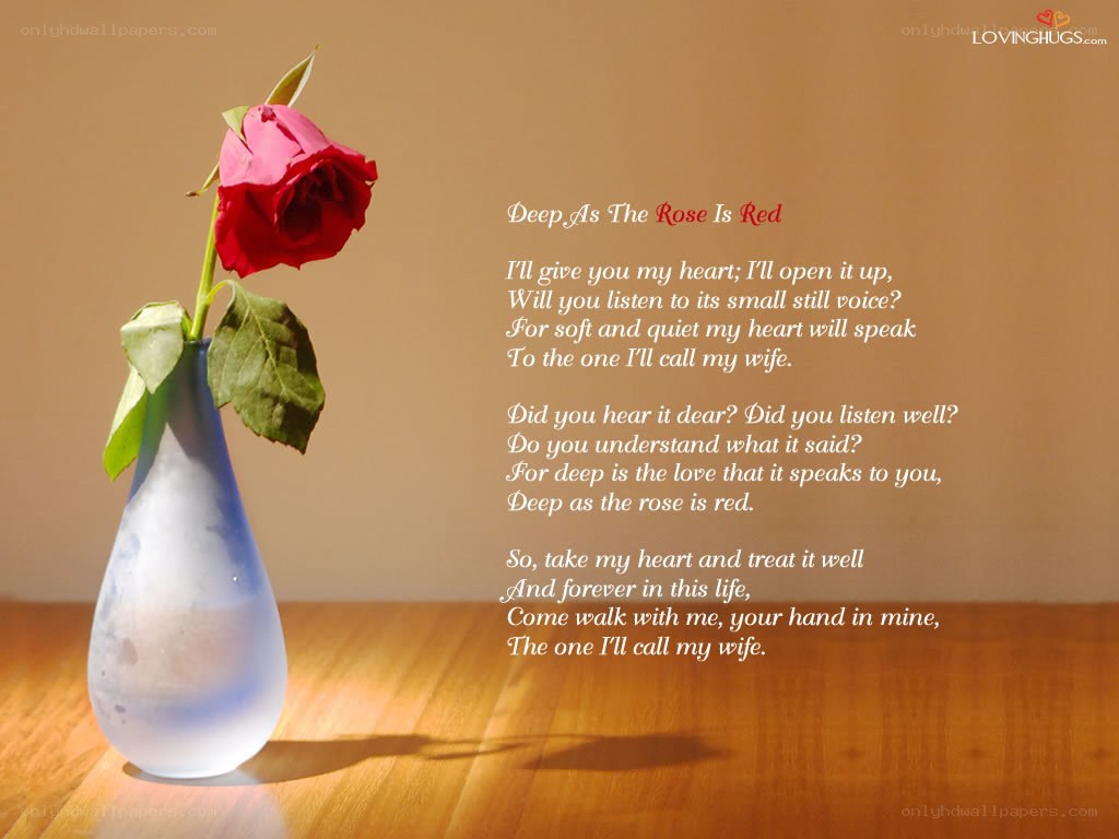 rose and poem image