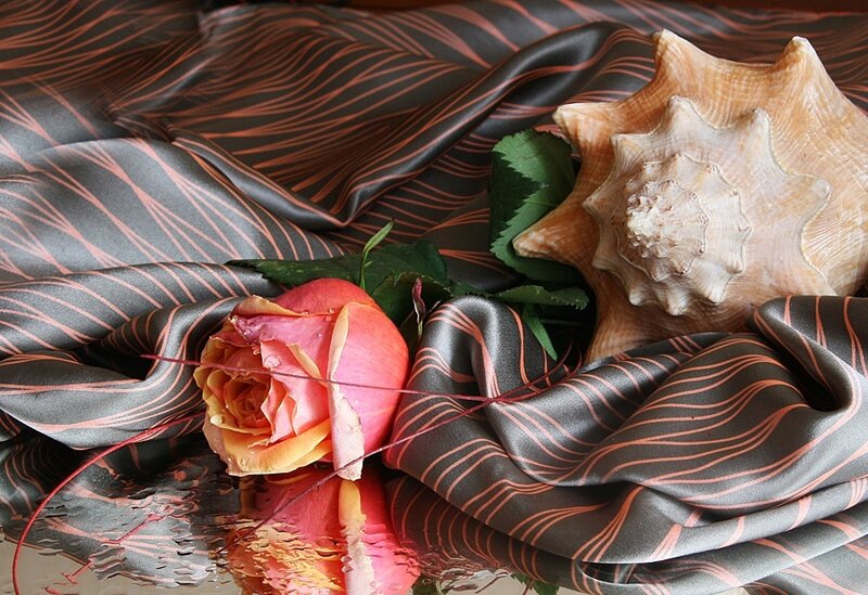 rose and seashell on fabric