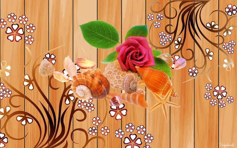 Rose and Seashells