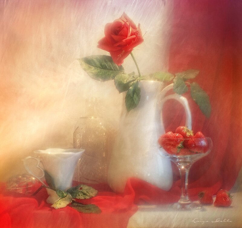 Rose and Strawberries