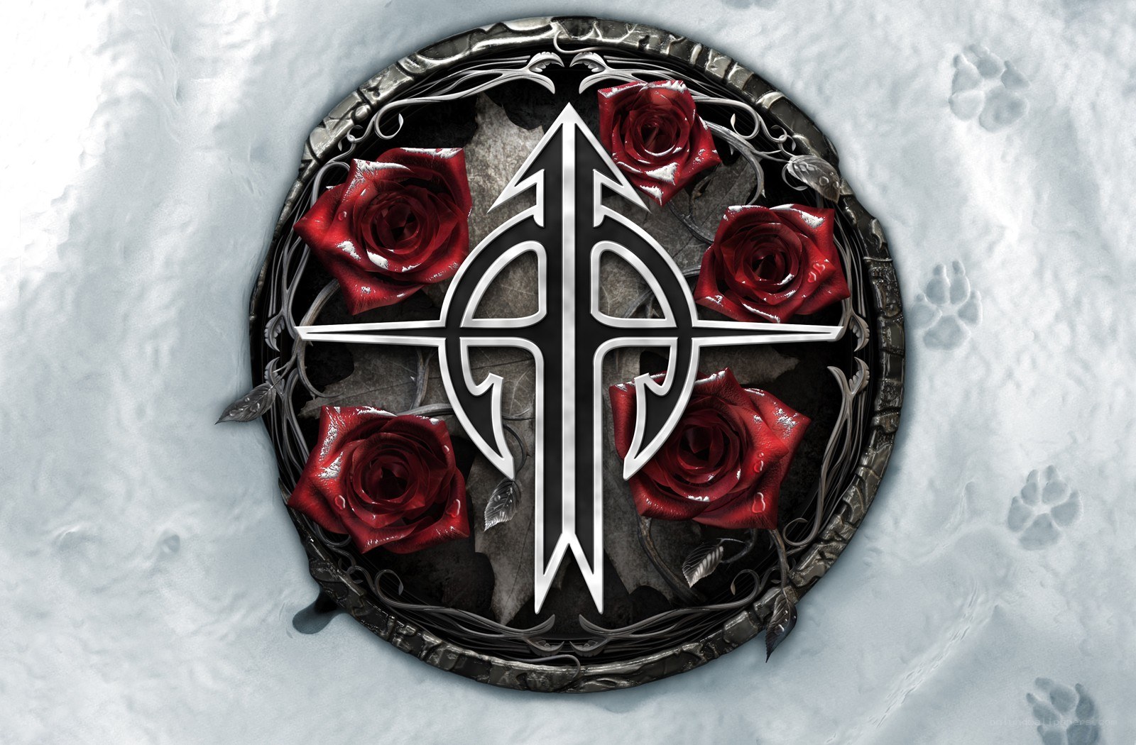 rose and symbol in snow