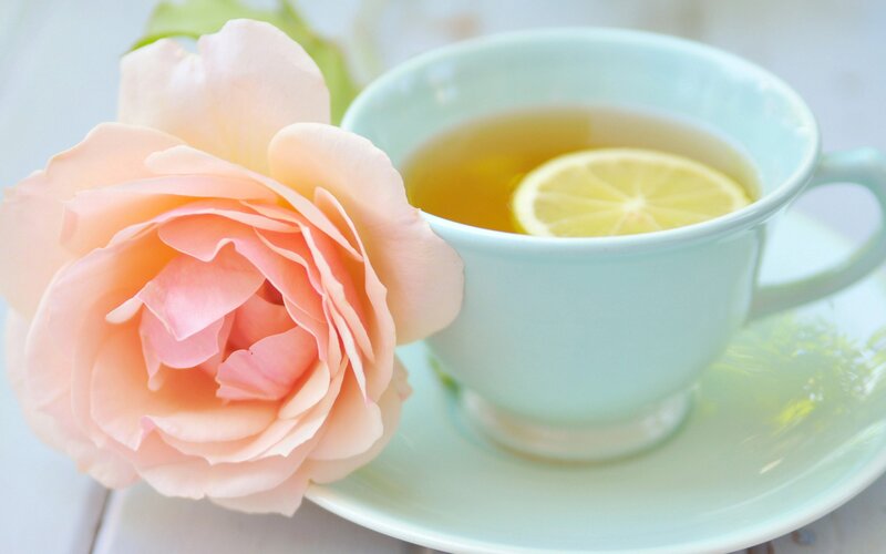 Rose and Tea Cup — Pink, Serene