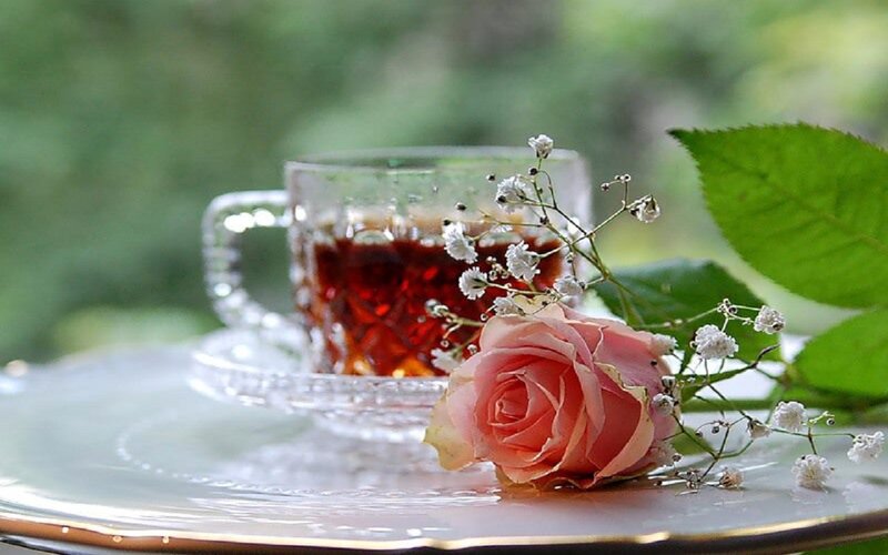 Rose and Tea Cup