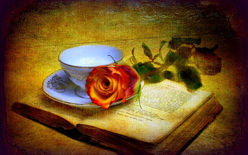Rose and Teacup on Book