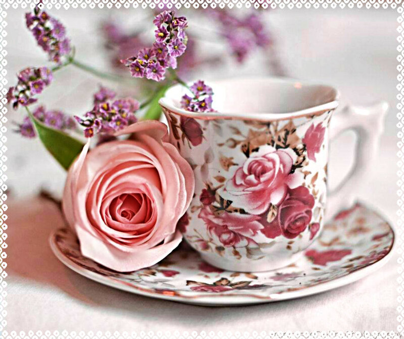 Rose and Teacup — Pink, Serene, Photograph
