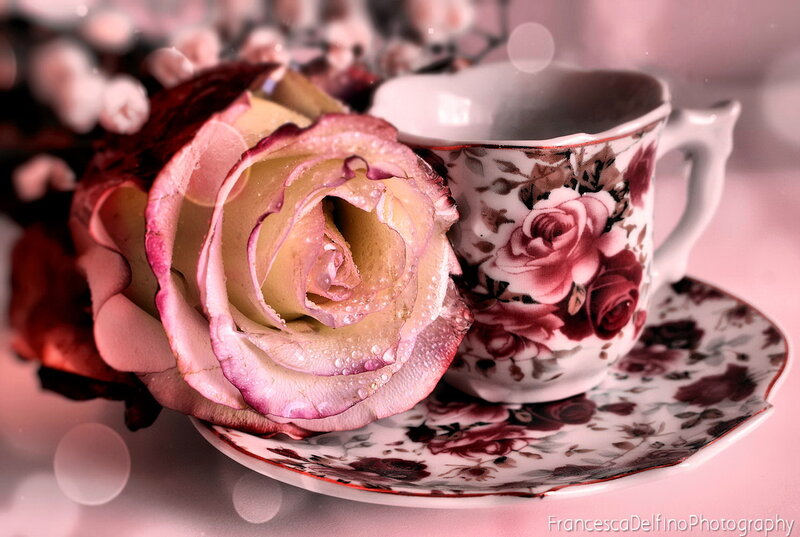 Rose and Teacup — Pink