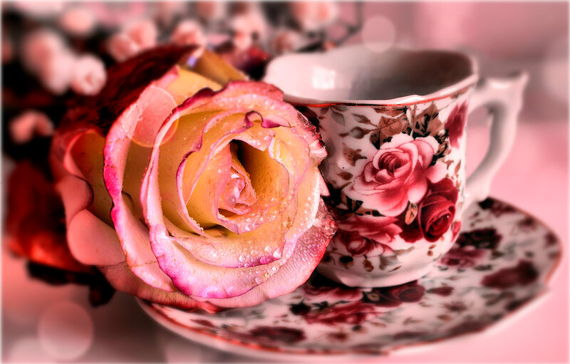 Rose and Teacup