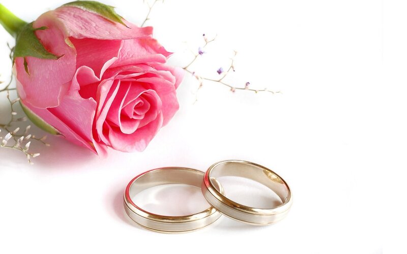 rose and wedding rings