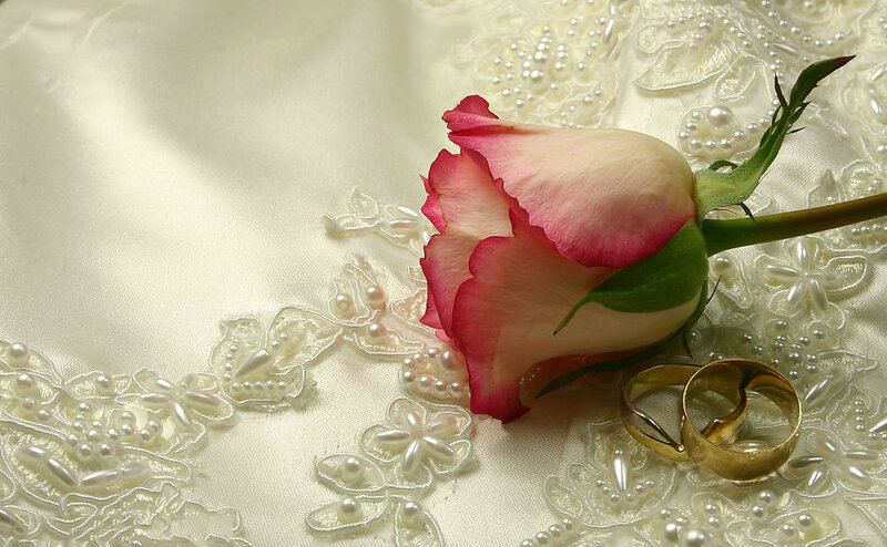 Rose and Wedding Rings — White