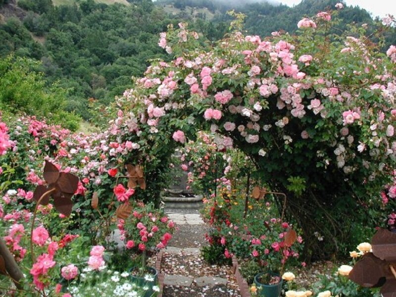 Rose Arbor Garden