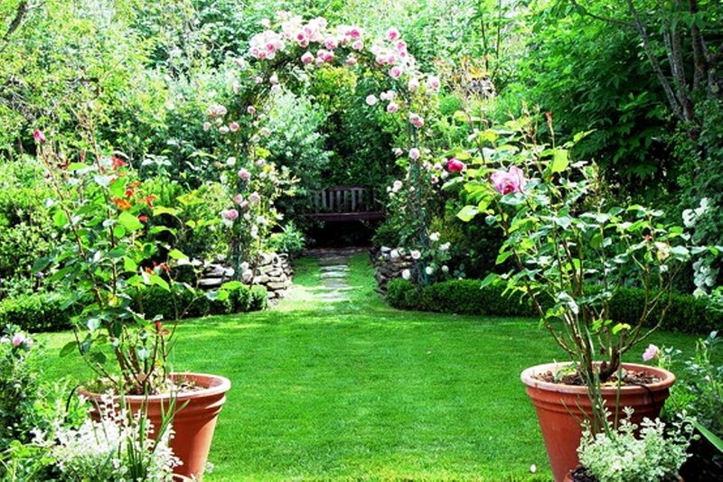 Rose Arbor in Garden — Green, Serene, Afternoon