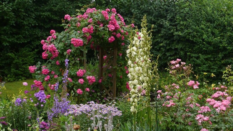 Rose Arbor in Garden — Green, Serene, Summer