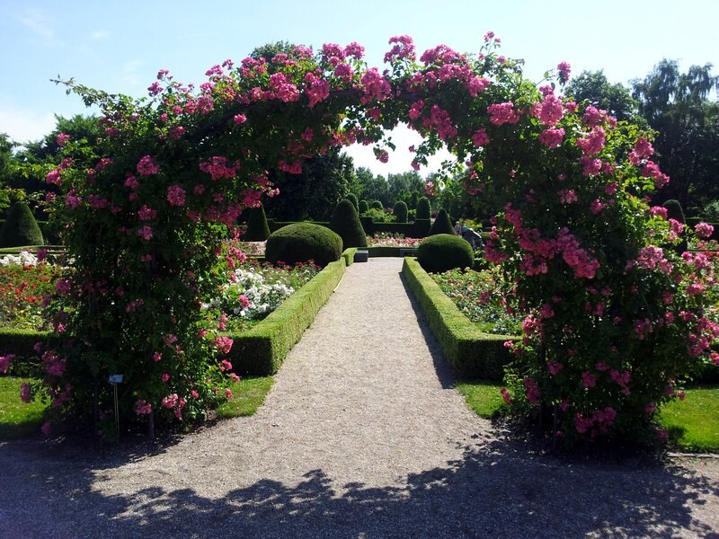 Rose Arbor in Garden — Pink