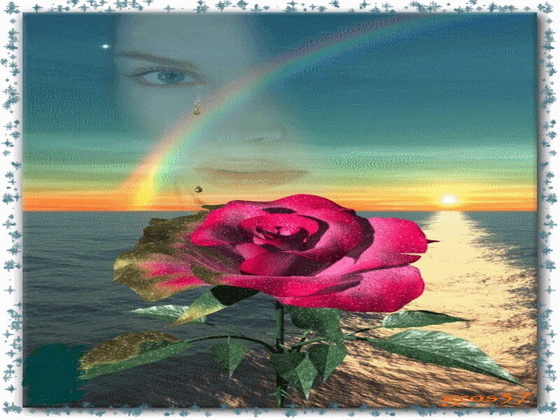 rose at sunset with rainbow
