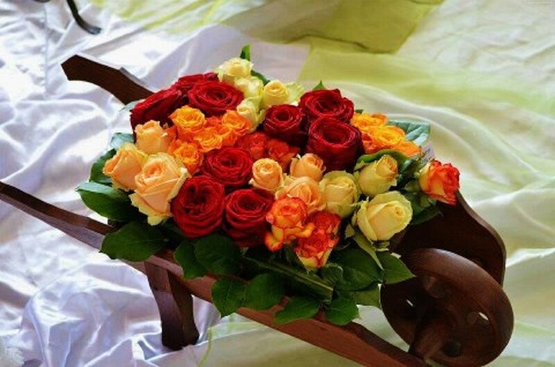 Rose Bouquet in Wheelbarrow — Red, Calm