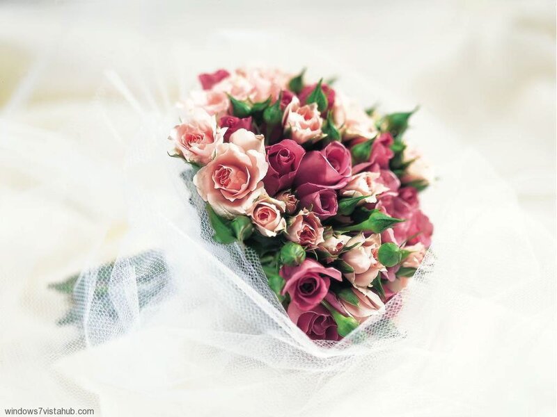 Rose Bouquet Wrapped in Tulle — Pink
