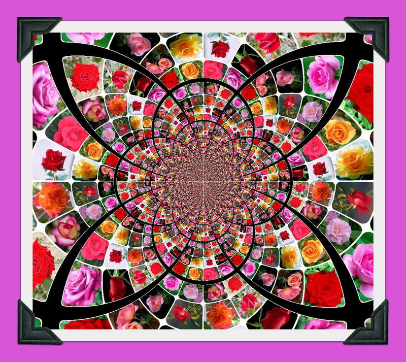 Rose Collage Tunnel
