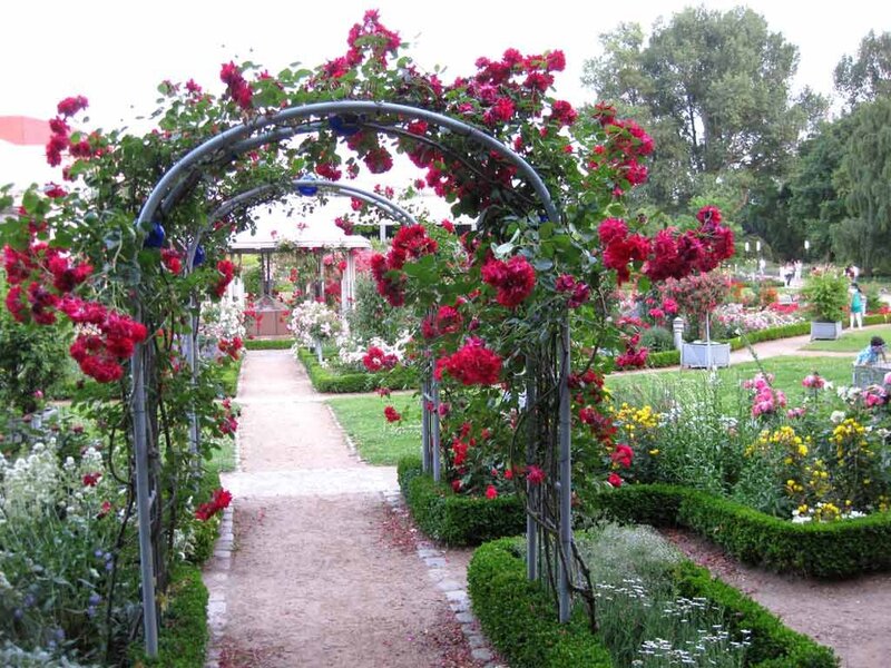 Rose-covered Arbor in Garden — Red