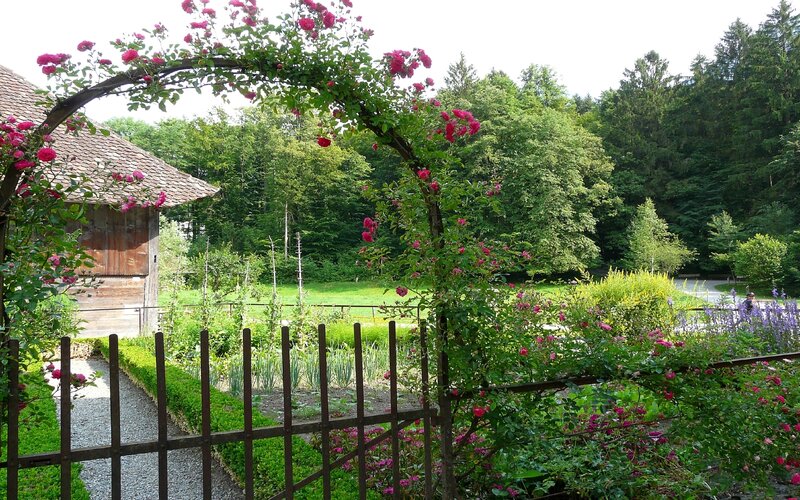 Rose-covered Arbor in Garden
