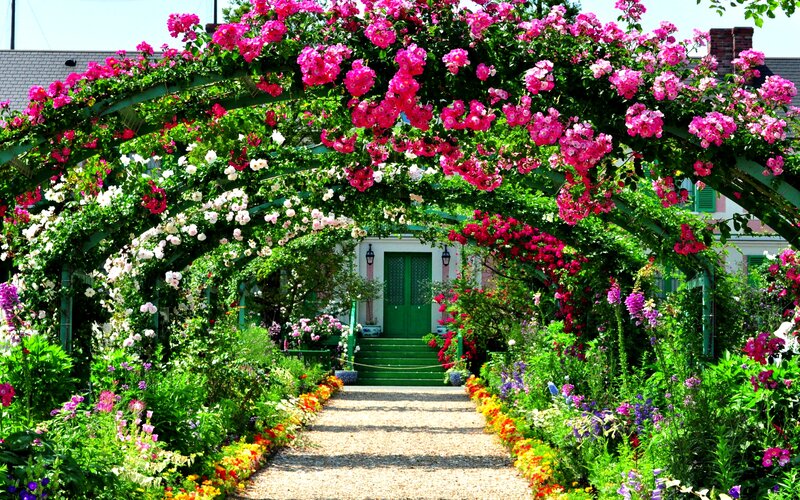 Rose-covered Arbor — Pink, Serene, Afternoon, Photograph, Garden Path
