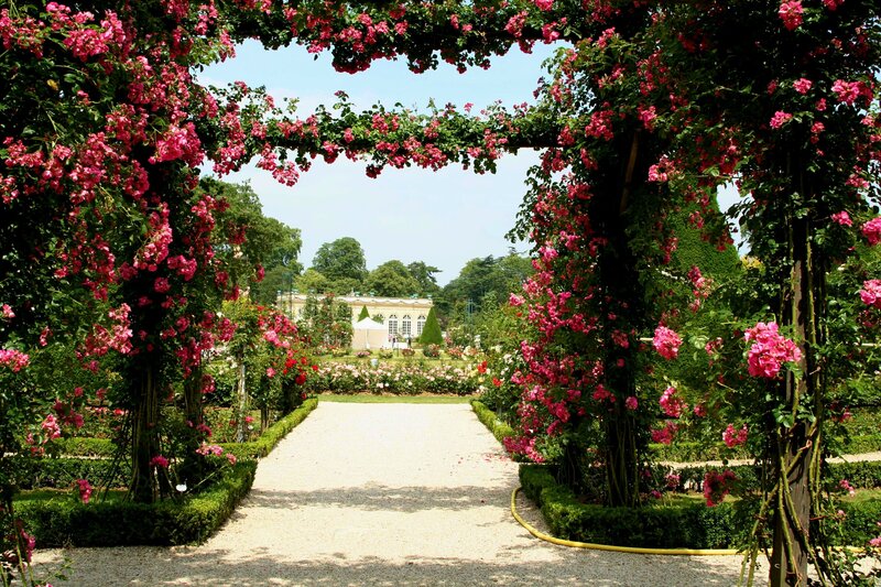 Rose-covered Arbor — Pink, Serene, Summer