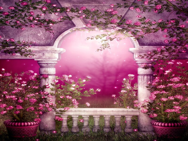Rose-covered Archway — Pink, Dreamy