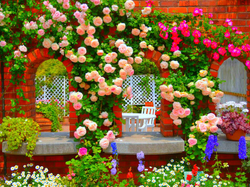 Rose-covered Archway — Pink, Serene, Spring