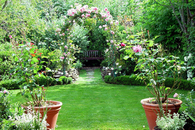 Rose-covered Garden Arch — Green, Serene, Afternoon, Photograph, Bench