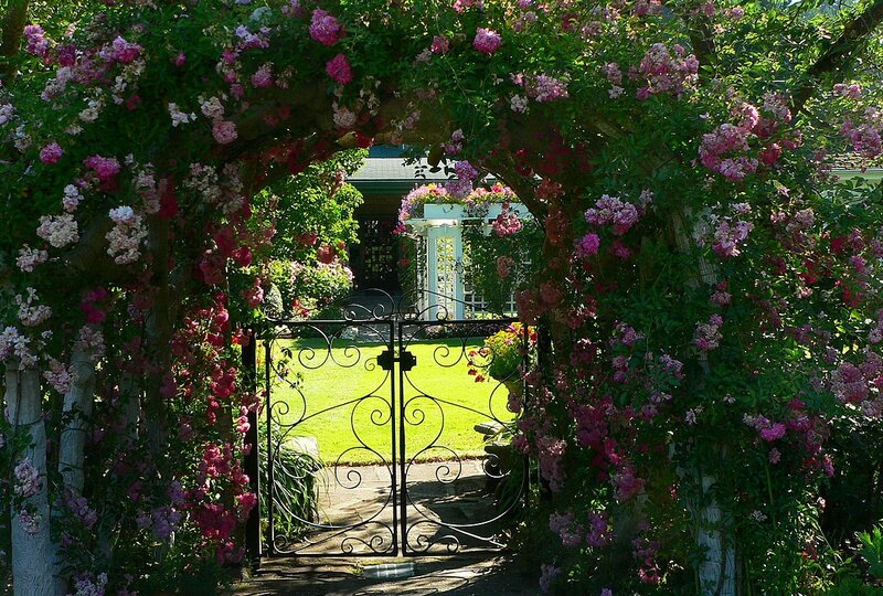 Rose-covered Garden Arch — Green, Serene