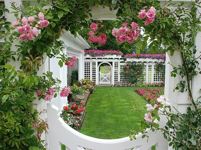 Rose-covered Garden Arch — Green