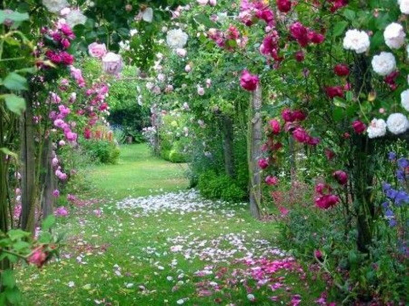Rose-covered Garden Archway — Green